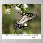 Butterfly 1 posters