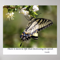 Butterfly 1 print