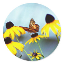 butterfly 2 sticker