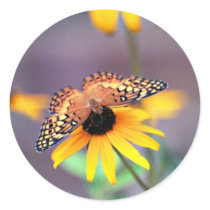 butterfly 3 stickers