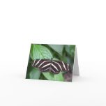 Butterfly 4 note card