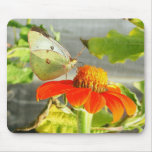 Butterfly 5 mousepads