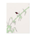 Butterfly and Bamboo Impressions postcards