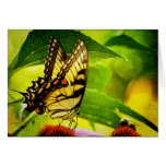 Butterfly and Bee Blank Card