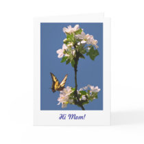Butterfly and Blossoms for Mum