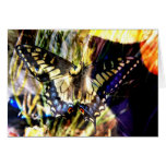 Butterfly and cat collage card