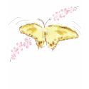 Butterfly and Cherry Blossoms Ladies' Shirt