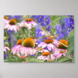 Butterfly and Daisies posters