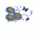 Butterfly and Daisies t-shirts