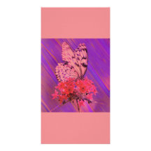 Butterfly and Flower in Pink and Purple Photo Cards