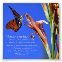 Butterfly and Flower Phillipians 4:8 Scripture Art Photo