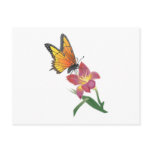 Butterfly and Flower Postcard