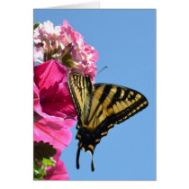 Butterfly and Flowers II Greeting Cards