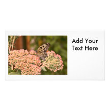 Butterfly and Flowers Photo Card