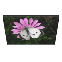 Butterfly and Pink Flower Canvas Print