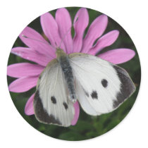 Butterfly and Pink Flower Stickers