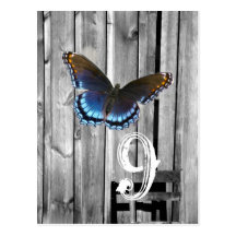 butterfly barnwood western country wedding postcards