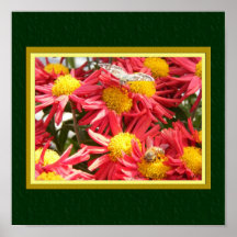 Butterfly & Bee Poster