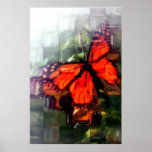 Butterfly behind the window