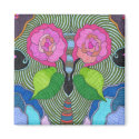 Butterfly--Big Rose Eyes magnets