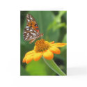 Butterfly Birthday cards