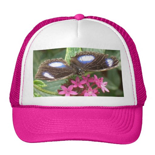 Butterfly Black Blue Pink Flowers Trucker Hat