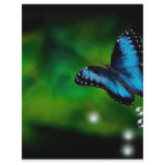 butterfly blue flyer design