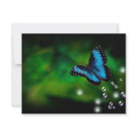 butterfly blue custom announcement