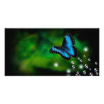 butterfly blue picture card