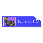 Butterfly Born To Be Free Bumper Sticker bumper stickers