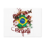 Butterfly Brazil Post Cards