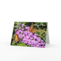 Butterfly Buddies ~ card