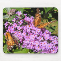 Butterfly Buddies ~ mousepad