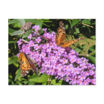 Butterfly Buddies ~ postcard