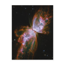 Butterfly / Bug Nebula (Hubble Telescope) Post Cards