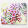 Butterfly Bush - Delicate and Dreamy Mouse Pads