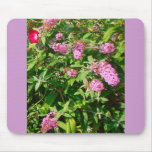 "butterfly bush" mousepad w/ morning glory