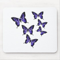 Butterfly Butterflies