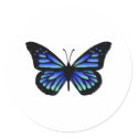 Butterfly Butterflies stickers