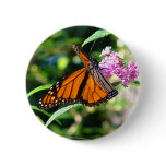Butterfly Button 2