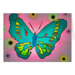Butterfly cards