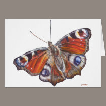 Butterfly cards