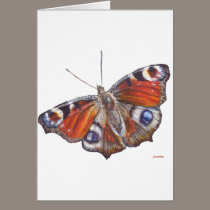 Butterfly cards