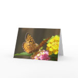 Butterfly Card