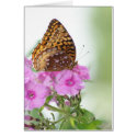 Butterfly Card