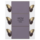 Butterfly Card flyers