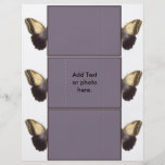 Butterfly Card Personalised Flyer