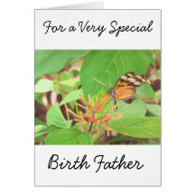 Butterfly Cards