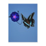Butterfly class postcard