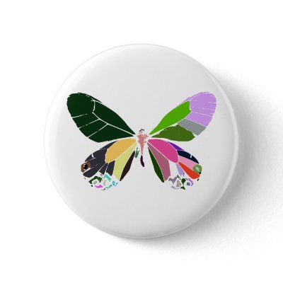 butterfly colours pin by anacletocold